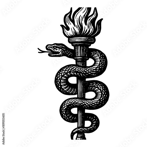 Black and white caduceus with snake wrapped around torch.