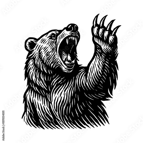 Fierce roaring grizzly bear illustration with raised paw.