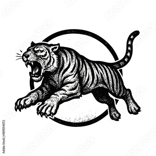 Ferocious tiger illustration - monochrome roaring wildcat with circle background.
