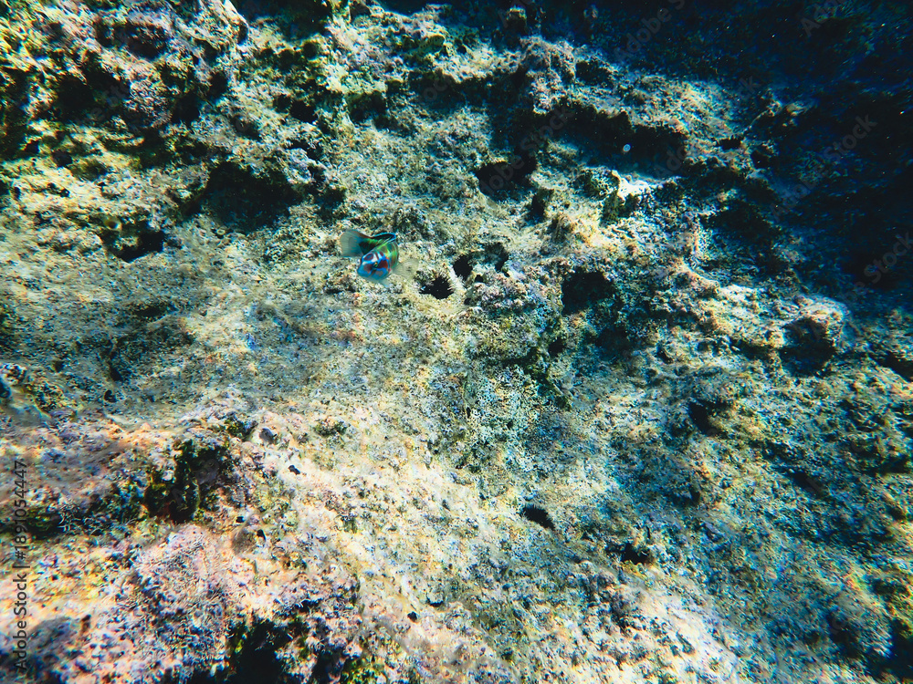 Fototapeta premium Greece Aegina Island under water 