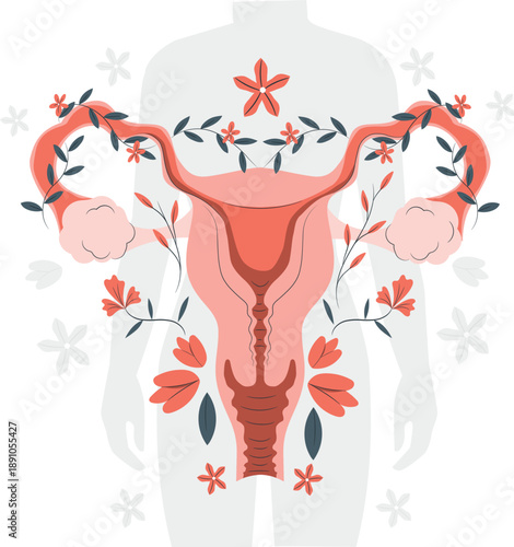 Illustration of the female reproductive system with flowers and leaves surrounding the organs in a serene and educational visual representation