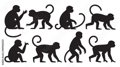 Monkey Evolution Silhouettes in Minimalist Style with Black Color on White Background for Scientific Illustration