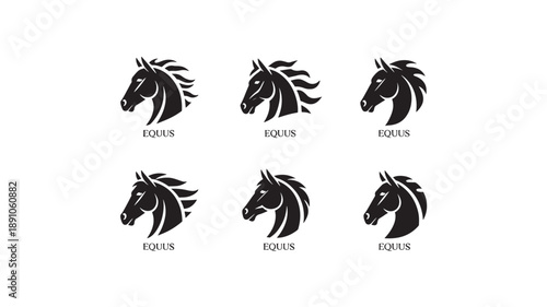 Horse Head Logo Designs in Modern Minimalist Style with Black Silhouette and Clean Typography for Branding