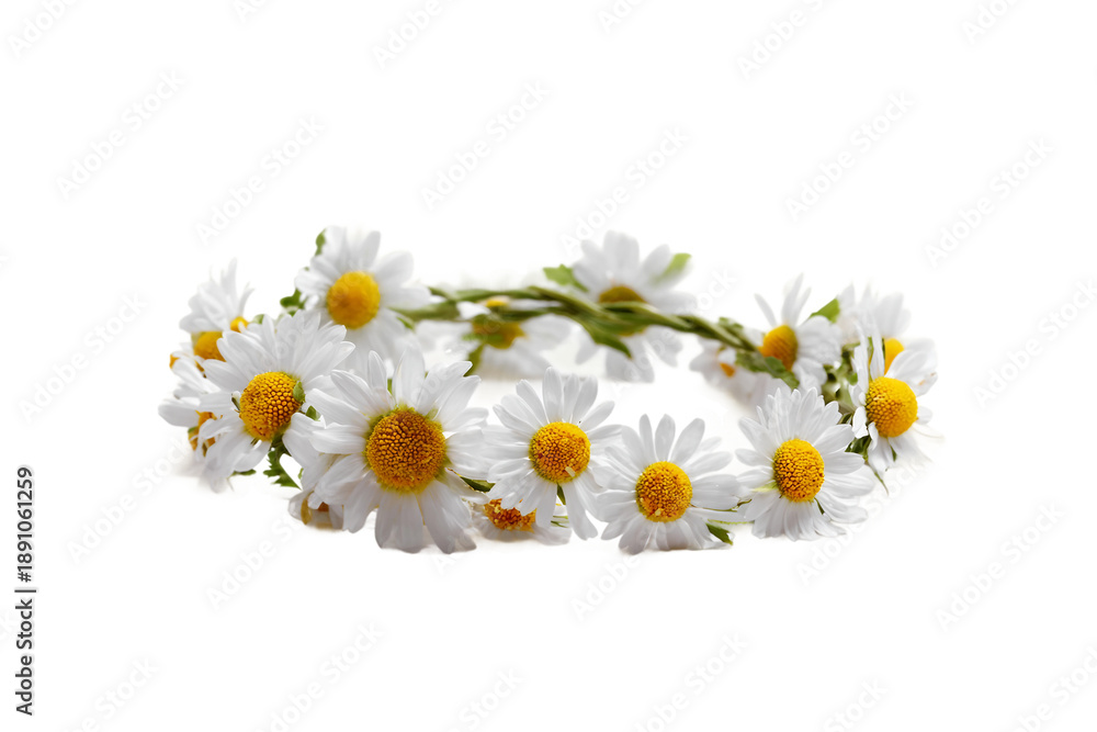 Obraz premium Delicate pastel flower crown in aesthetic arrangement isolated on transparent background