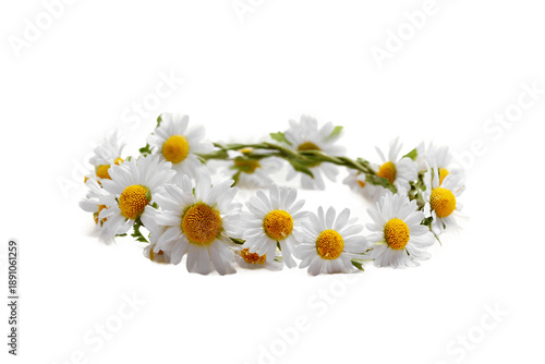 Delicate pastel flower crown in aesthetic arrangement isolated on transparent background