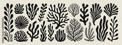 Black Silhouette Botanical Elements Matisse Style Abstract Plant Shapes On Beige Background vector illustration