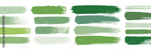 Green Paint Swatches and Brush Strokes on White Background illustration