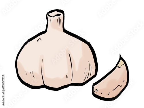 ニンニクのイラスト （筆タッチ・夏野菜） シンプル / Garlic Illustration in Hand-Drawn Brush Style