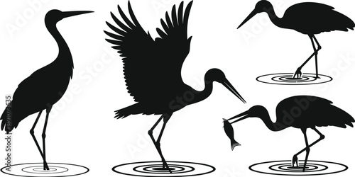 Heron silhouette collection, wading bird fishing poses, wetland wildlife illustration set, black white vector nature design bundle