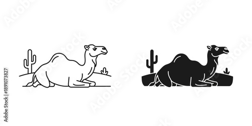 Camels resting in desert landscape with cacti