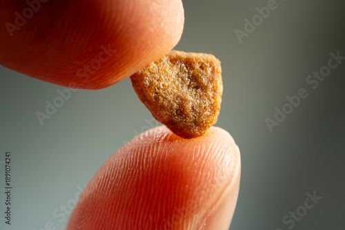 Extreme macro close-up of a single piece of dry pet food kibble. Concept of proper or poor nutrition for domestic animals, pet health, feeding quality, and commercial animal food ingredients.