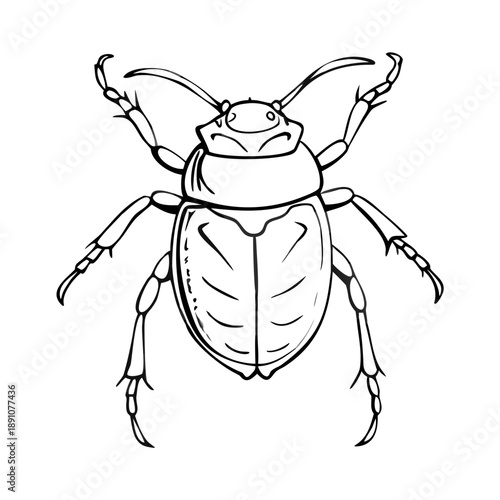 Scarab beetle sketch, detailed hand drawn insect illustration. Vintage engraving style enhances scarab beetle sketch, highlighting anatomy. Versatile scarab beetle sketch.
