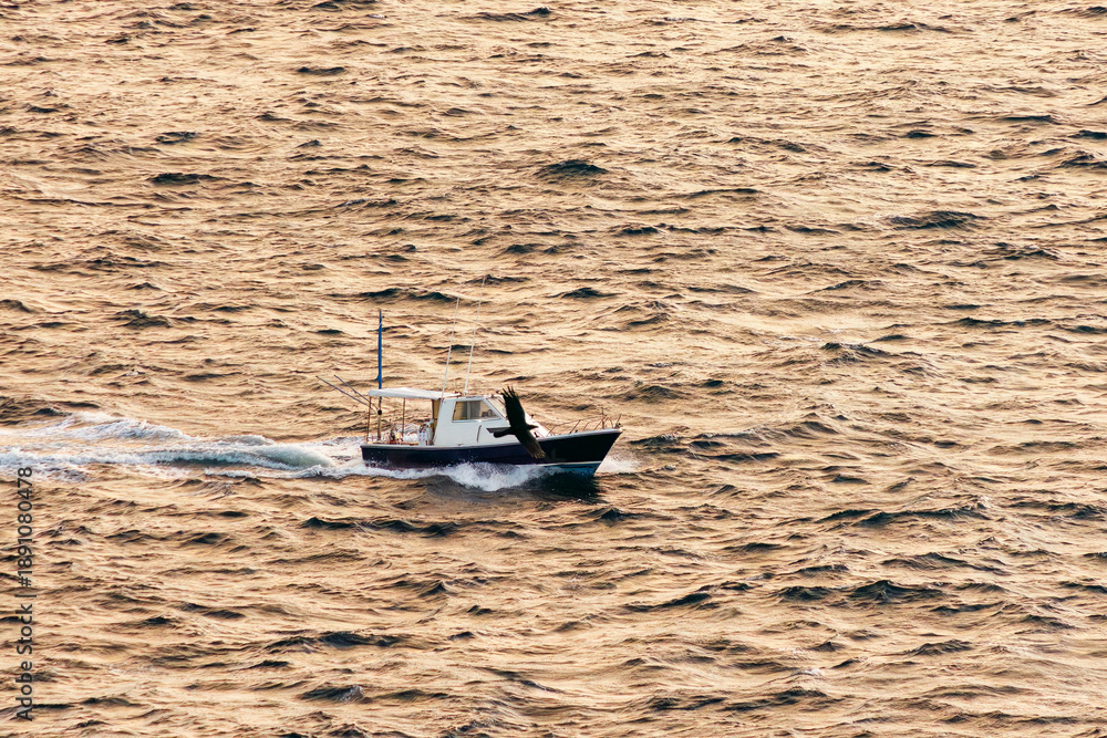 Obraz premium 日の出の海。 ぐんじ山展望台から見る美しい伊豆諸島の海。 沖には新島や神津島が見える。 白い石灰岩の崖、白ママ断崖の沖には無人島の早島。 乗用車を乗せた大型貨物船や漁船も見える。 式根島は東京都心から南へ160km。 外周12kmの小さな有人島。 温かい黒潮が当たり水温と水質が高い。 また、リアス式の入り組んだ入り江が多く、海水浴や釣りが盛ん。 温泉島としても有名。海際に多くの無料露天風呂がある。