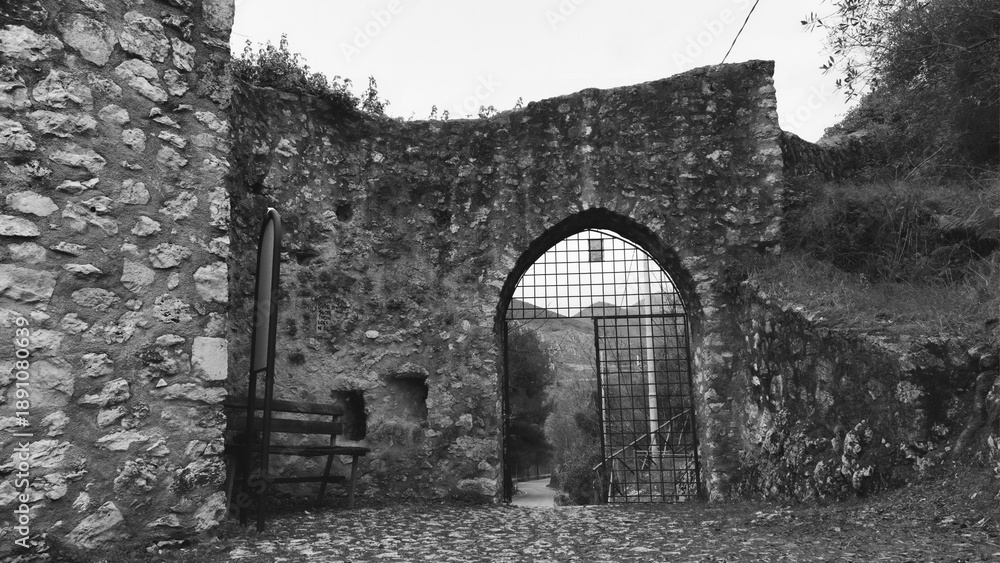 Fototapeta premium default