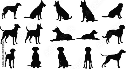 "Collection of fifteen black dog silhouettes in various poses and breeds, standing, sitting, and lying down for design and educational use"