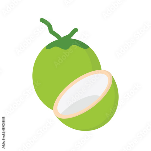 Fresh green coconut vector illustration on a white background