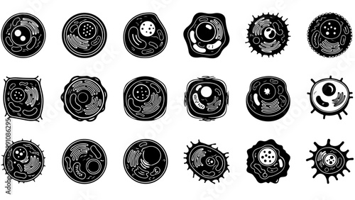 Detailed black and white cell illustrations for biology and medical projects