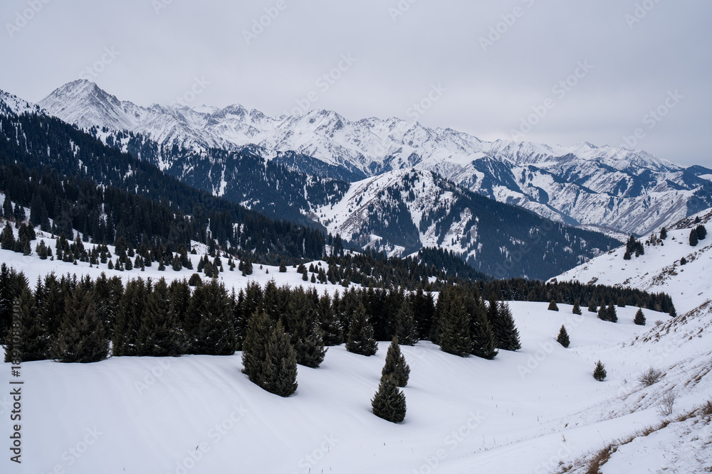 Fototapeta premium Pristine winter nature of Kok Zhailau plateau before development. View of Kumbel and Three Brothers peaks, Almaty, Kazakhstan