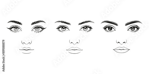 Female Facial Features Line Art for Beauty and Makeup Illustration. Female Face Line Art Vector – Eyes Nose Lips. Cosmetic Beauty Line Drawing Facial Features Set.