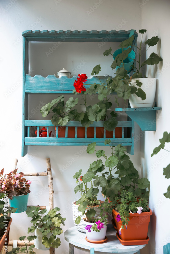 Fototapeta premium Small balcony with blue wooden bench and summer flowers.