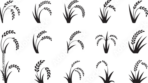 A collection of minimalist black silhouette icons representing various rice stalks with grains