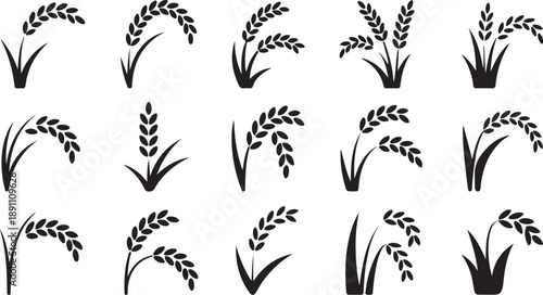 An assortment of various black silhouette icons depicting rice stalks with grains on a clear white background