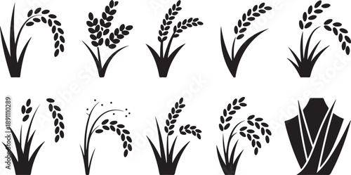 A collection of black silhouette icons representing diverse rice plants and a jewelry display stand