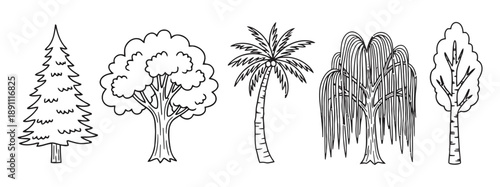 Collection of diverse hand-drawn trees like pine, deciduous, palm, and weeping willow set against white background, perfect for nature illustration and design