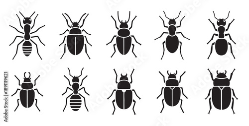 Collection of ten black insect icons including ants and beetles in a top down view, symbolizing nature and entomology, clean vector art.