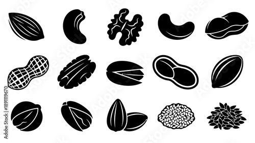 Collection of various nuts and seeds, including walnuts, cashews, peanuts, almonds, and pistachios, presented as clean black and white vector illustrations for culinary and dietary use