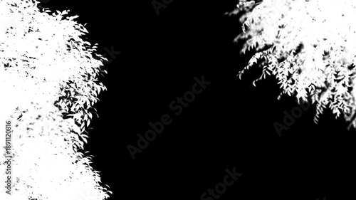 Minimalist Black and White Abstract Circle Art showcasing simplicity and contrast