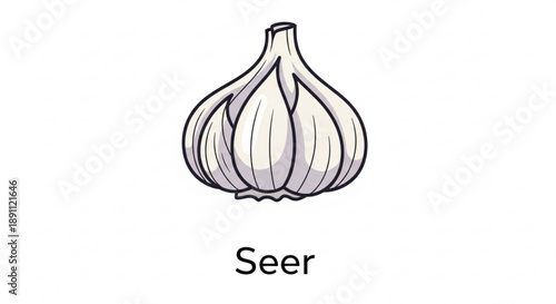 Detailed illustration of a bulb of white garlic with black outlines on a plain background