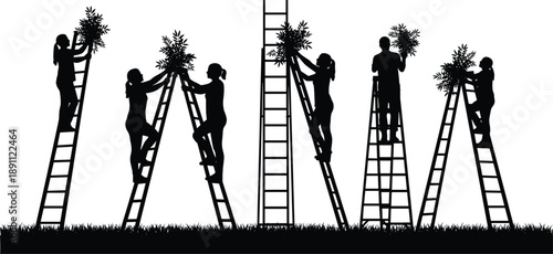 Silhouettes of people on ladders holding wreaths in a festive scene
