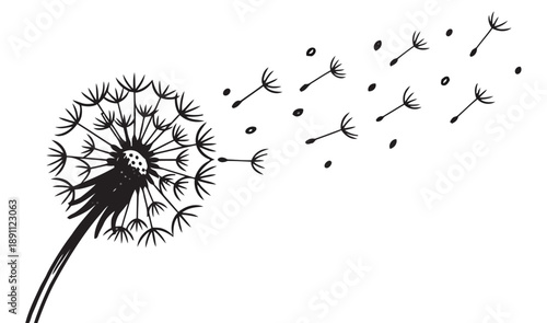 Dandelion blowing in wind, seeds scattering into air, symbolizes wishes, dreams, hope, and freedom, artistic sketchy vector illustration.