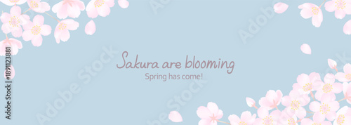 桜の花と春のスモーキーな空の横長背景イラスト