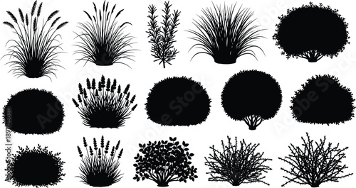 Black silhouettes of various plants and trees plant silhouettes plant silhouettes, tree silhouettes, black plants, black trees, grass silhouettes, bush silhouettes, foliage silhouettes, landscape gard