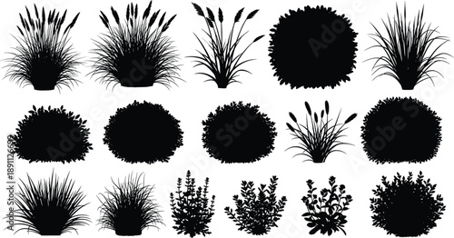 Black silhouettes of various grasses and plants foliage black, silhouettes, grasses, plants, foliage, leaves, bushes, flowers, vegetation, garden, landscape, nature, flora, white background, various, 