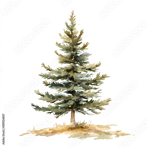 Watercolor painting of a majestic evergreen tree standing tall in nature.