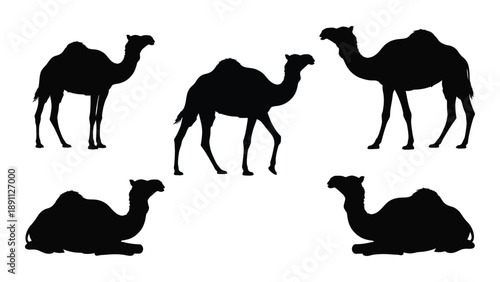 Silhouettes of camels in various poses against a plain white background