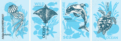 Vector sea animals illustration set. Ink sketch of jellyfish, eagle ray, dolphin, sea turtle. Silhouettes of seahorse, starfish, nautilus, coral fish, shell, seaweed.