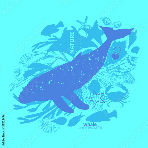 Vector sea life background. Blue humpback whal with shells, seaweed, starfish, manta ray, coral fish, corals silhouettes.