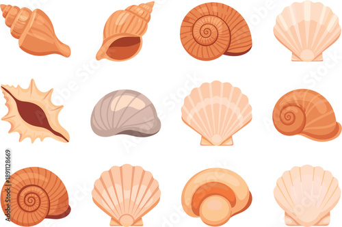 Cartoon Sea Shell Vector Set with Tropical Conch and Spiral Shells Flat Style