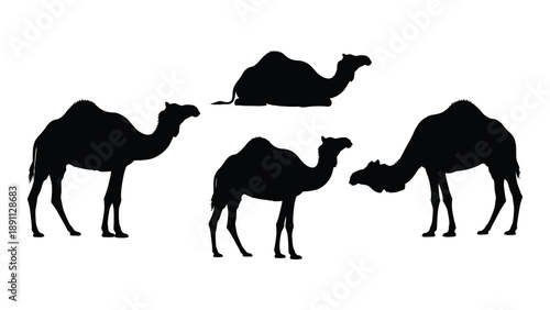 A silhouette depiction of three camels walking in a desert landscape