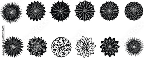 Abstract floral radial ornaments, mandala flower silhouettes, decorative geometric shapes, black white vector illustration collection