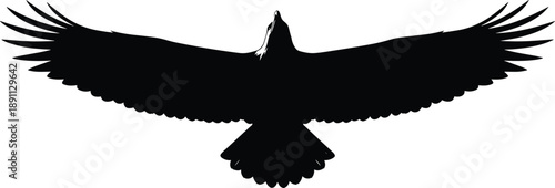 Flying bird silhouette, eagle wings spread, black avian icon, wildlife predator symbol, isolated flat vector illustration