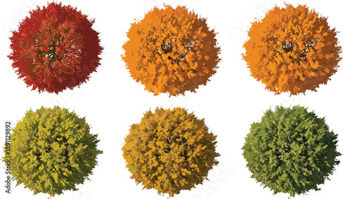 Trees, Foliage, Autumn, Canopy, Nature, Forest, Leaves, Seasonal, Landscape, Botanical, Vegetation, Woodland, Environment, Ecology, Park, Garden, Greenery, Colorful, Illustration, Collection