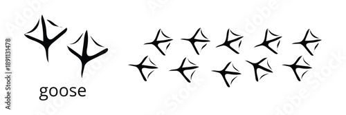 Goose footprints silhouette set displaying bird walking tracks. Perfect for wildlife and farm related visuals.