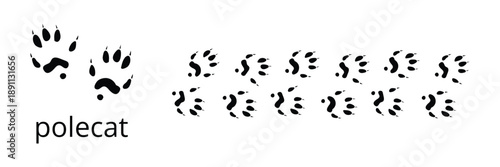 Polecat paw print silhouettes, small mammal wildlife footprint vector set.