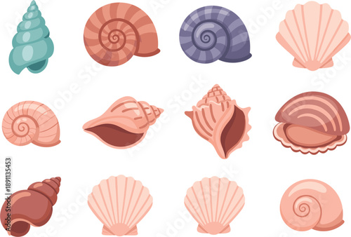 Playful Tropical Sea Shell Icon Set Flat Vector Illustration on White Background