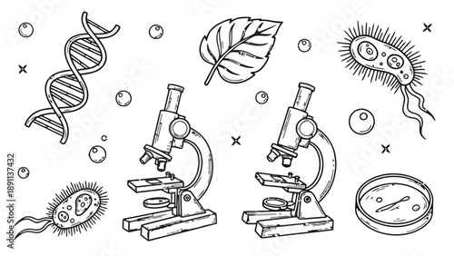 Scientific research elements, including DNA helix, microscope, bacteria, petri dish and leaf, detailed hand sketch style for education and science concepts